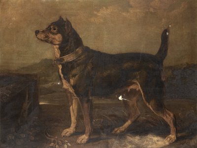 جحر في منظر طبيعي بواسطة RA جيمس وارد